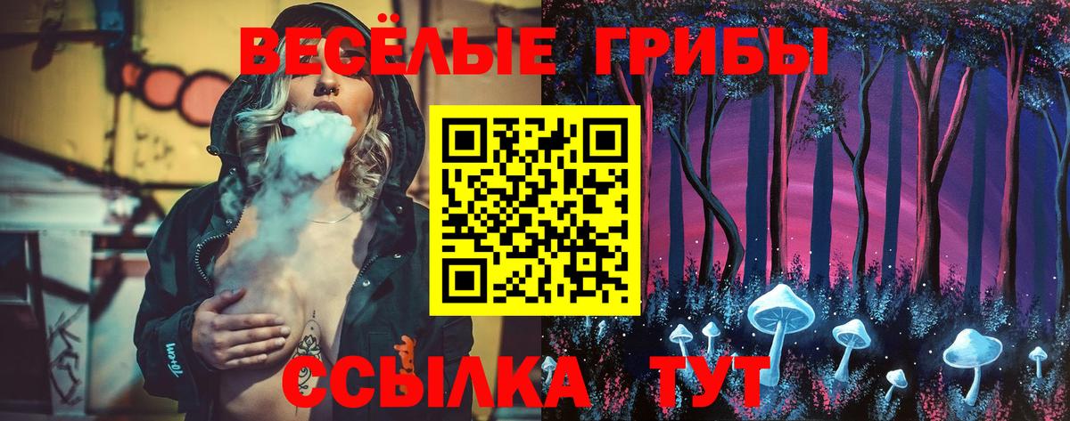 Галлюциногенные грибы мицелий  Вход с VPN  Дальнереченск 