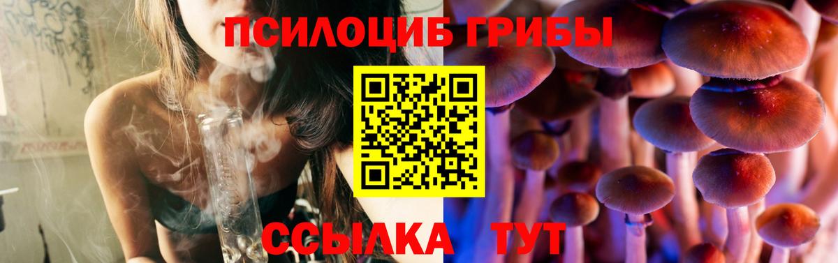 Псилоцибиновые грибы ЛСД Дальнереченск